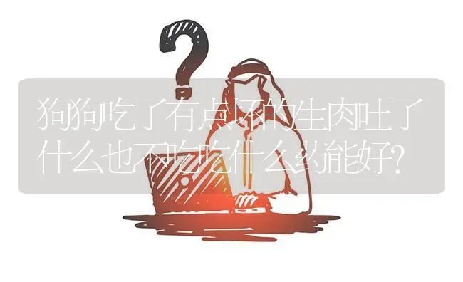 狗狗吃了有点坏的生肉吐了什么也不吃吃什么药能好？ | 动物养殖问答