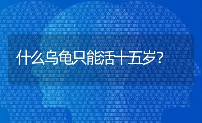 什么乌龟只能活十五岁？ | 动物养殖问答