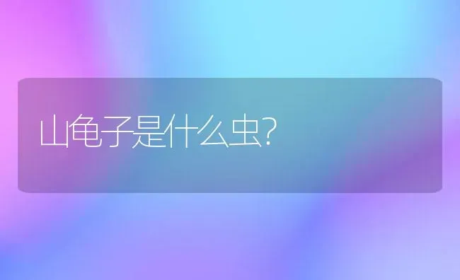 山龟子是什么虫？ | 动物养殖问答