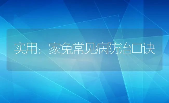 实用：家兔常见病防治口诀 | 水产养殖知识