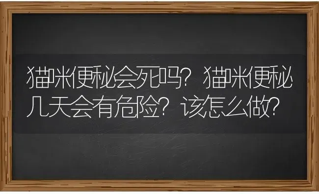 猫咪便秘会死吗？猫咪便秘几天会有危险？该怎么做？ | 动物养殖问答