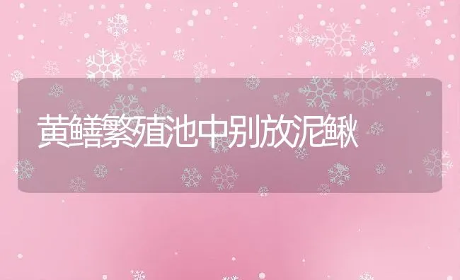 黄鳝繁殖池中别放泥鳅 | 水产养殖知识