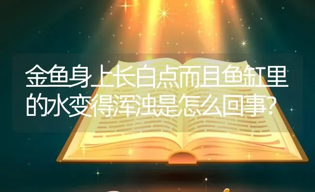 金鱼身上长白点而且鱼缸里的水变得浑浊是怎么回事？ | 鱼类宠物饲养