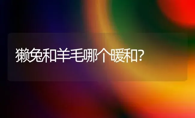 獭兔和羊毛哪个暖和？ | 动物养殖问答