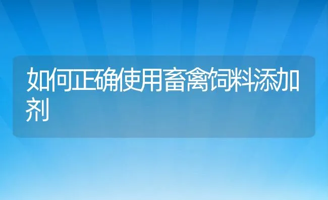 如何正确使用畜禽饲料添加剂 | 动物养殖学堂