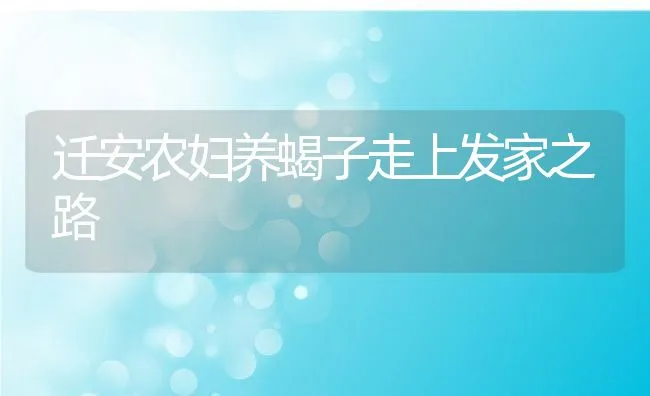 冷水鱼健康养殖技术操作七要点 | 海水养殖技术