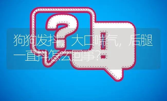 狗狗发抖，大口喘气，后腿一直抖怎么回事？ | 动物养殖问答