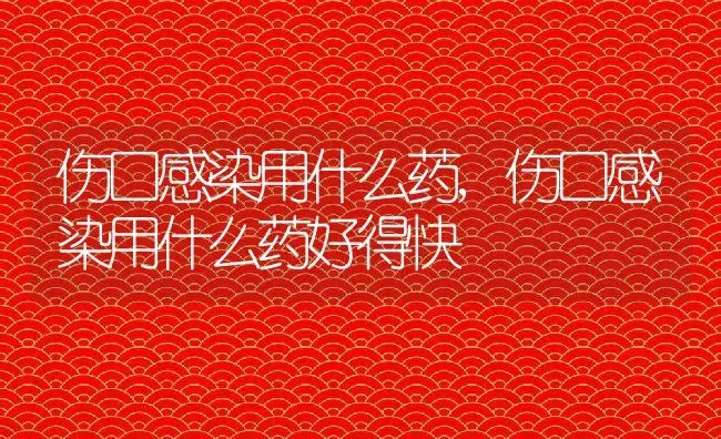 伤口感染用什么药,伤口感染用什么药好得快 | 宠物百科知识