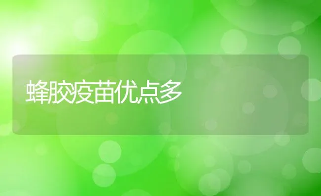 蜂胶疫苗优点多 | 动物养殖学堂