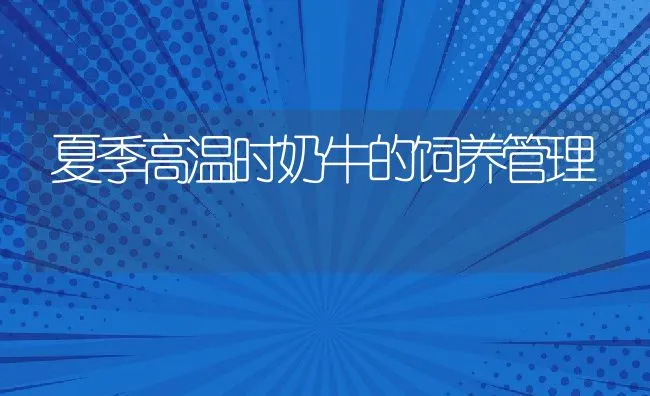 夏季高温时奶牛的饲养管理 | 动物养殖饲料