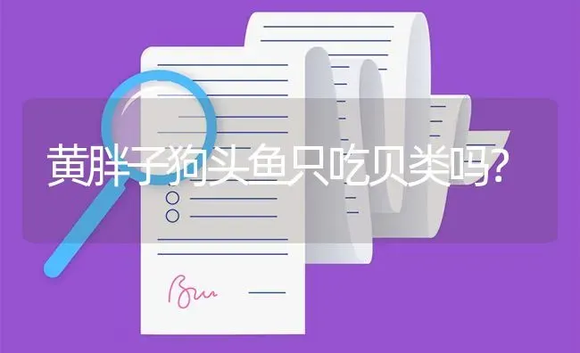 黄胖子狗头鱼只吃贝类吗？ | 鱼类宠物饲养