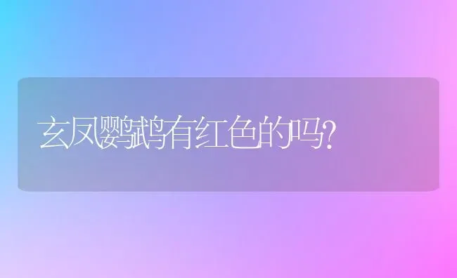 玄凤鹦鹉有红色的吗？ | 动物养殖问答