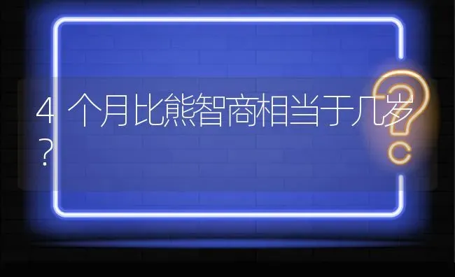 4个月比熊智商相当于几岁？ | 动物养殖问答