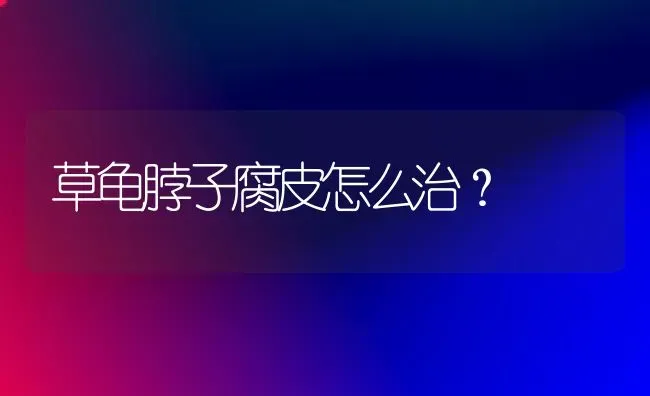 草龟脖子腐皮怎么治？ | 动物养殖问答