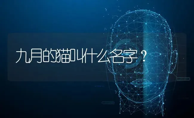 不打针的猫咪能和人睡么？ | 动物养殖问答