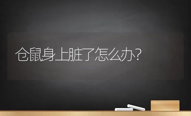 仓鼠身上脏了怎么办？ | 动物养殖问答