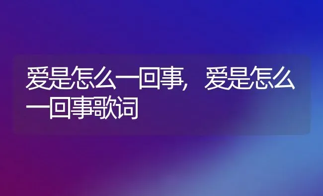 爱是怎么一回事,爱是怎么一回事歌词 | 宠物百科知识