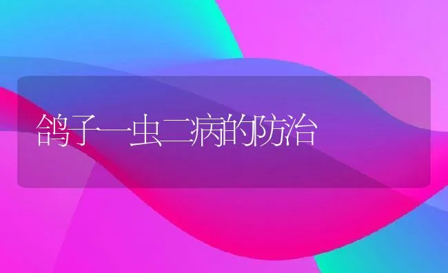 鸽子一虫二病的防治 | 动物养殖学堂