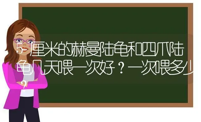 5厘米的赫曼陆龟和四爪陆龟几天喂一次好？一次喂多少？ | 动物养殖问答