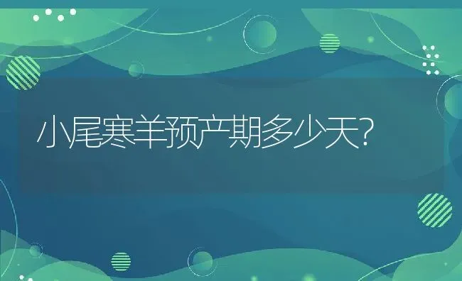 小尾寒羊预产期多少天？ | 动物养殖百科