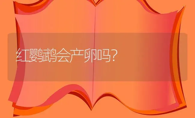 红鹦鹉会产卵吗？ | 鱼类宠物饲养