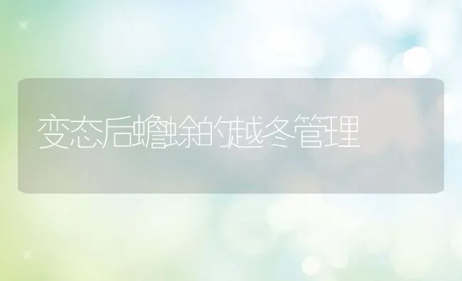 变态后蟾蜍的越冬管理 | 水产养殖知识