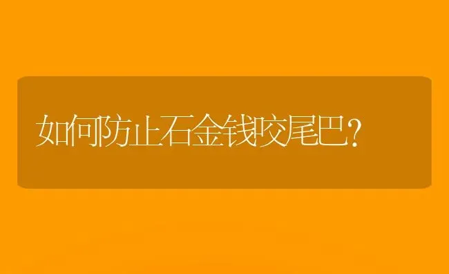 如何防止石金钱咬尾巴？ | 动物养殖问答