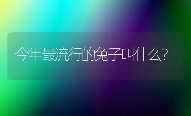 今年最流行的兔子叫什么？ | 动物养殖问答