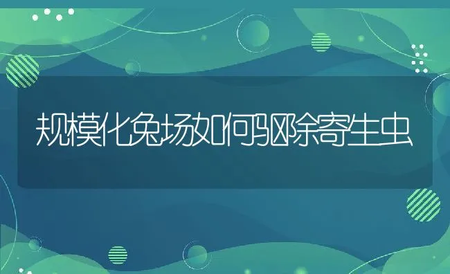 规模化兔场如何驱除寄生虫 | 水产养殖知识