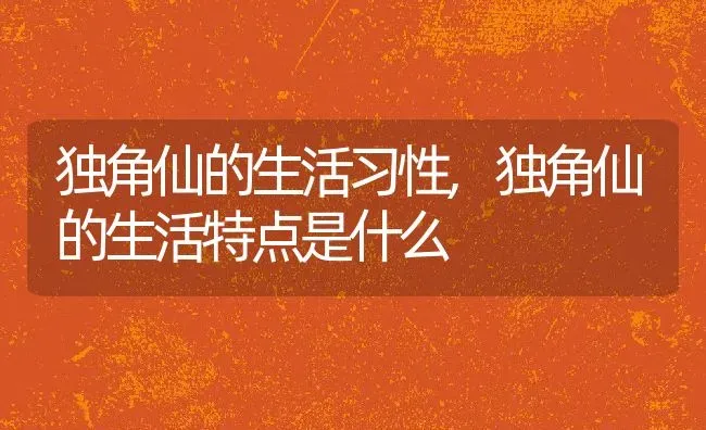 独角仙的生活习性,独角仙的生活特点是什么 | 宠物百科知识