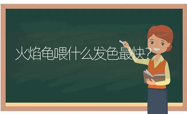 火焰龟喂什么发色最快？ | 动物养殖问答