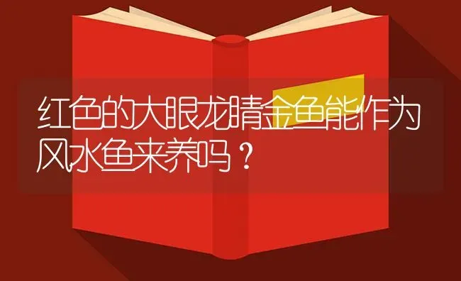 红色的大眼龙睛金鱼能作为风水鱼来养吗？ | 鱼类宠物饲养