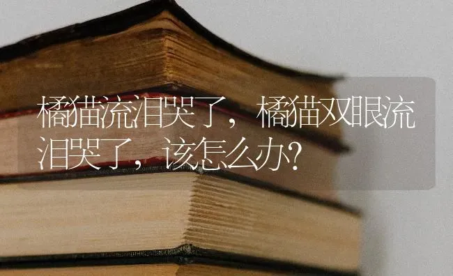 橘猫流泪哭了，橘猫双眼流泪哭了，该怎么办？ | 动物养殖问答