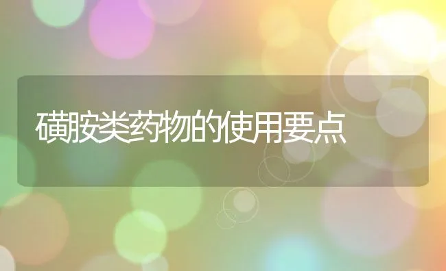 磺胺类药物的使用要点 | 动物养殖学堂