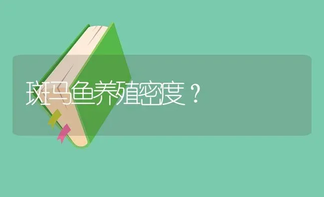 斑马鱼养殖密度？ | 鱼类宠物饲养