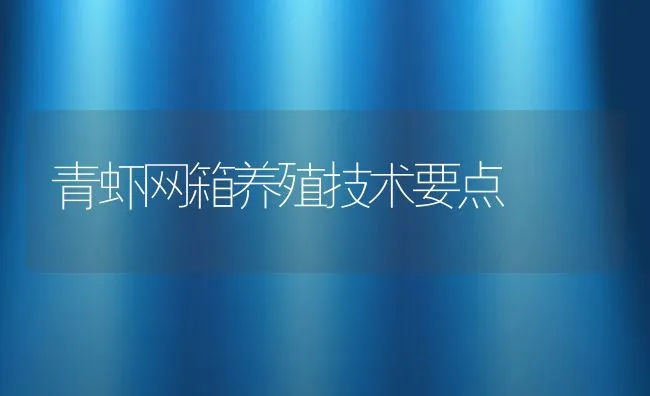 青虾网箱养殖技术要点 | 动物养殖饲料