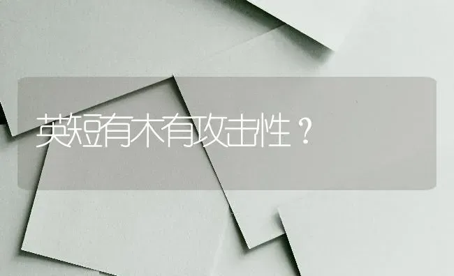 英短有木有攻击性？ | 动物养殖问答