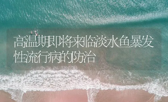 高温期即将来临淡水鱼暴发性流行病的防治 | 海水养殖技术