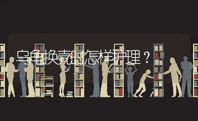 布偶猫吃什么猫粮好呢？ | 动物养殖问答