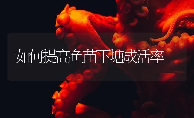 如何提高鱼苗下塘成活率 | 海水养殖技术