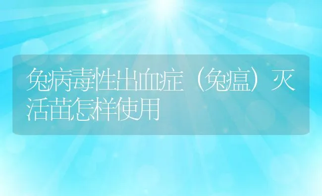 兔病毒性出血症（兔瘟）灭活苗怎样使用 | 水产养殖知识