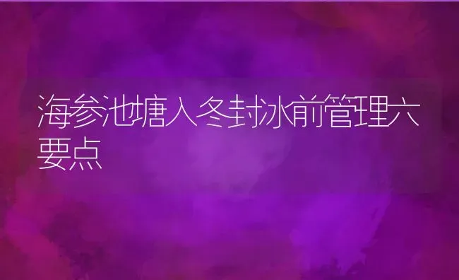 海参池塘入冬封冰前管理六要点 | 动物养殖百科