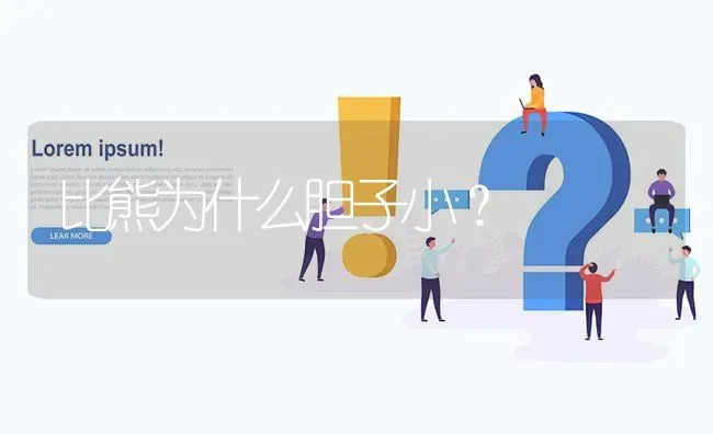 比熊为什么胆子小？ | 动物养殖问答