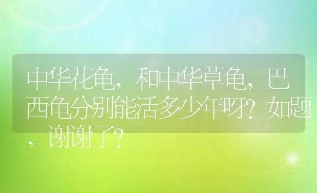 中华花龟，和中华草龟，巴西龟分别能活多少年呀？如题，谢谢了？ | 动物养殖问答