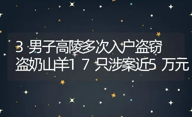 3男子高陵多次入户盗窃 盗奶山羊17只涉案近5万元 | 动物养殖教程