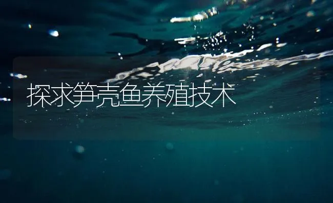 探求笋壳鱼养殖技术 | 海水养殖技术