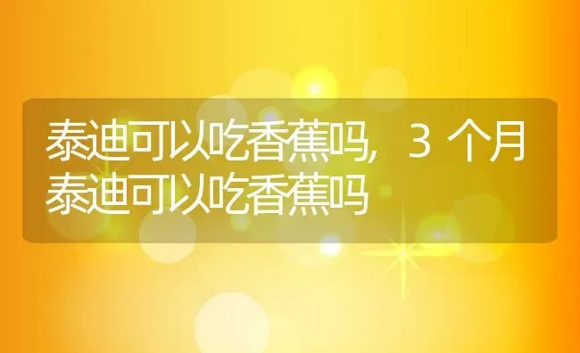 泰迪可以吃香蕉吗,3个月泰迪可以吃香蕉吗 | 宠物百科知识