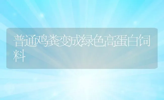 普通鸡粪变成绿色高蛋白饲料 | 动物养殖学堂