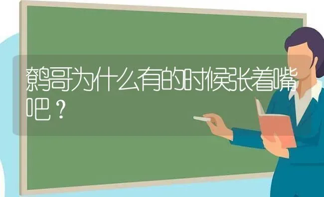 鹩哥为什么有的时候张着嘴吧？ | 动物养殖问答