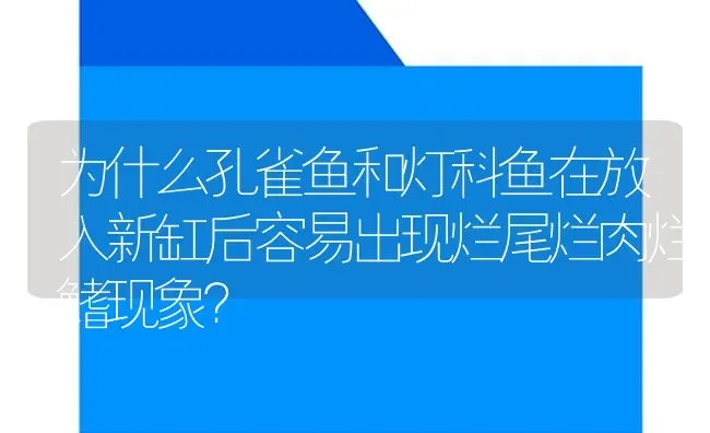 为什么孔雀鱼和灯科鱼在放入新缸后容易出现烂尾烂肉烂鳍现象？ | 鱼类宠物饲养